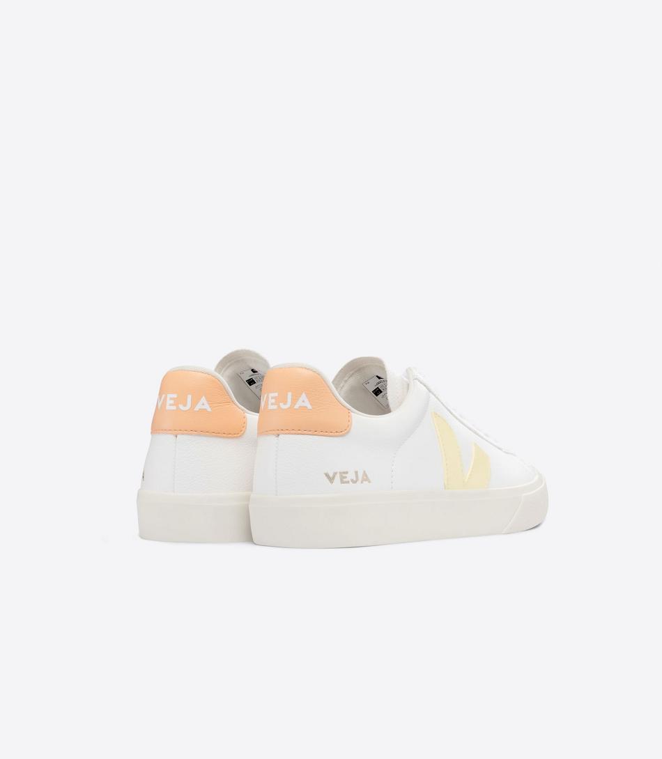 Veja Chromefree Leather Sun Peach Men\'s Campo White Orange Coral | YAUVQ23410