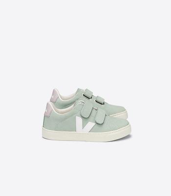 Veja Nubuck Matcha Kids' Esplar White | FAUHY93629